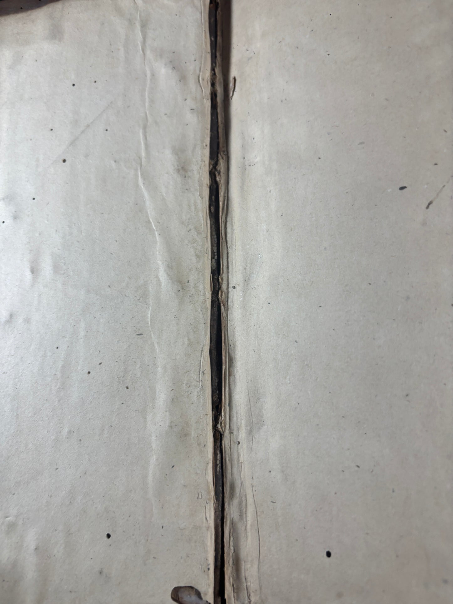 1577 Small Folio Geneva "Breeches" Bible