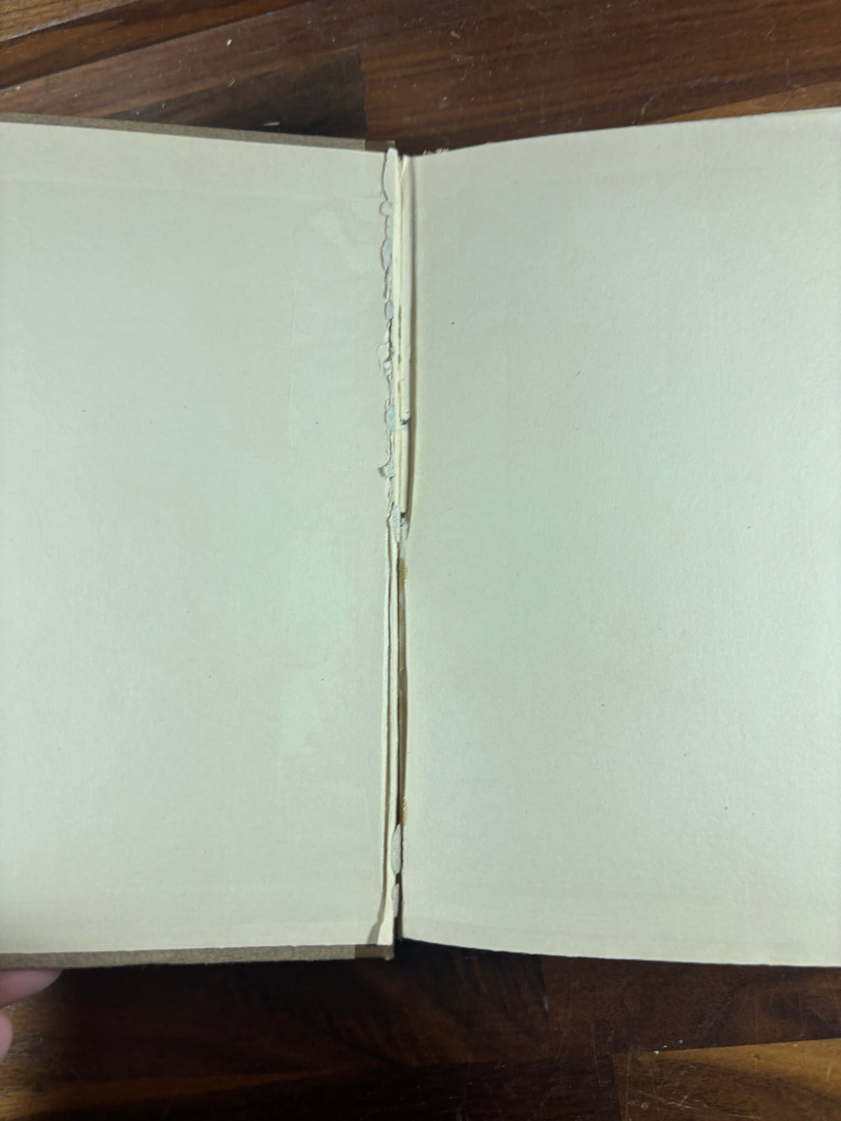 The Bay Psalm Book, 1903 Facsimile, Special New England Society Issue