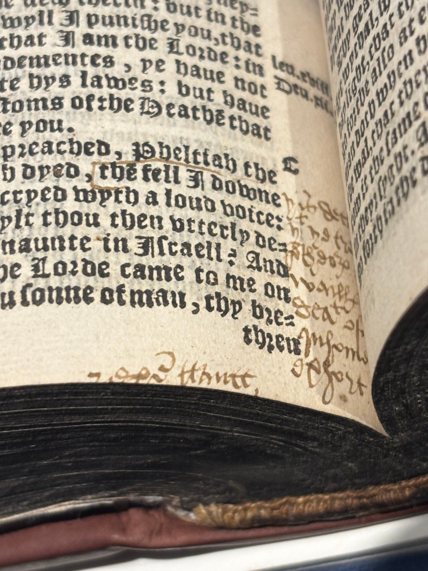 Tyndale Bible 1551 Small Folio OT, Apocrypha, NT Wood Cut Engravings, Middle Tudor