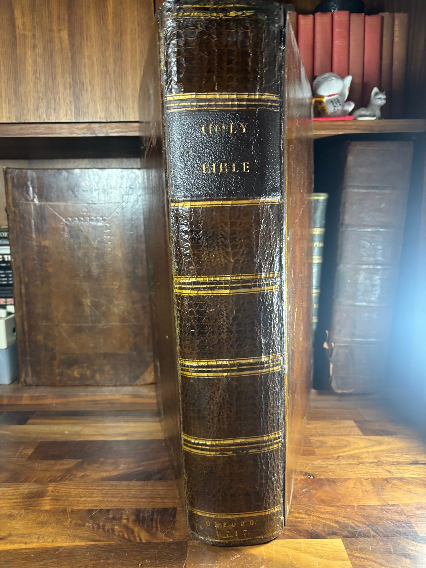 Vintage leather-bound book on a wooden shelf. Spine of the "Vinegar Bible"