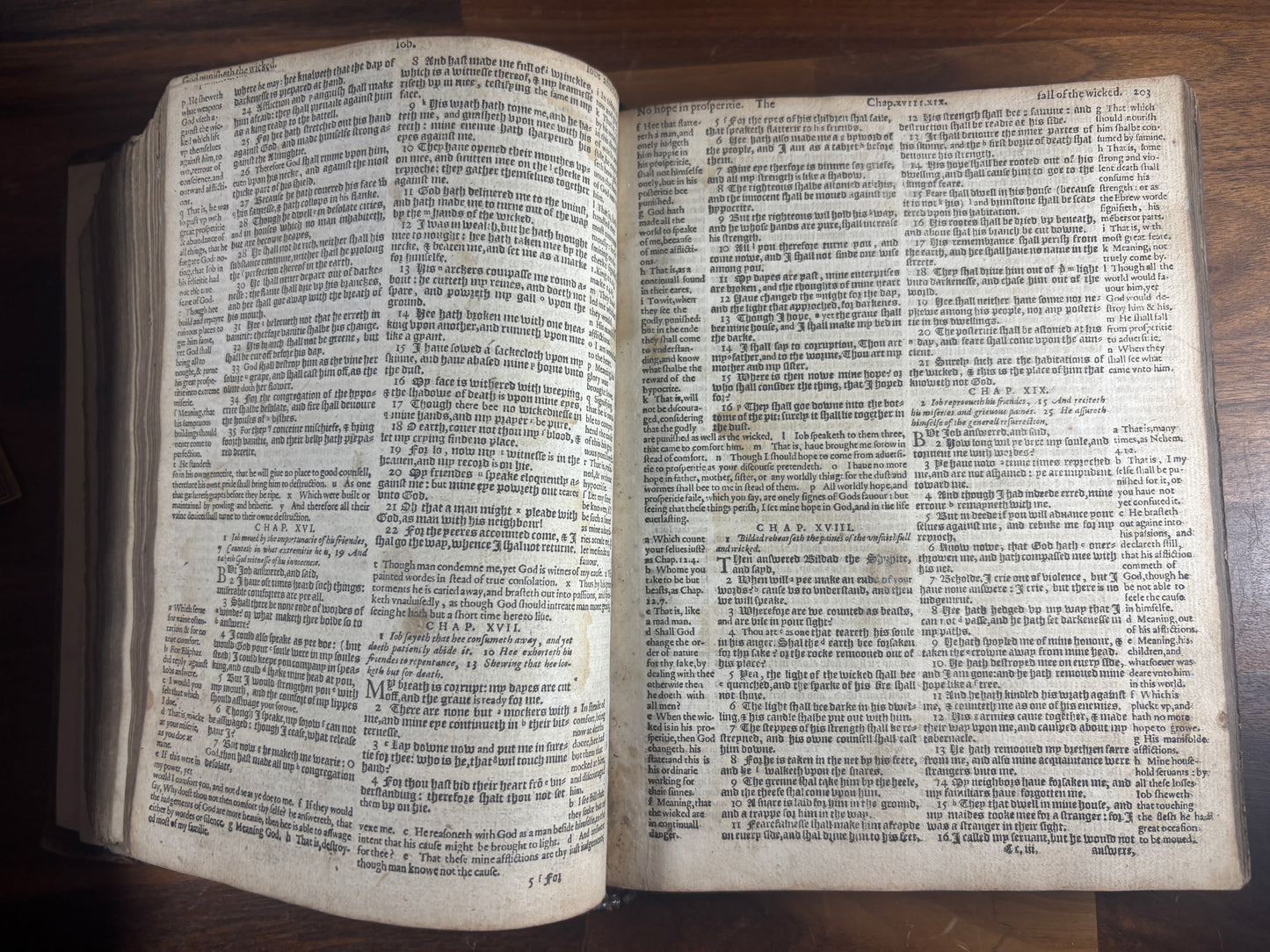 1592 Geneva "Breeches" Bible