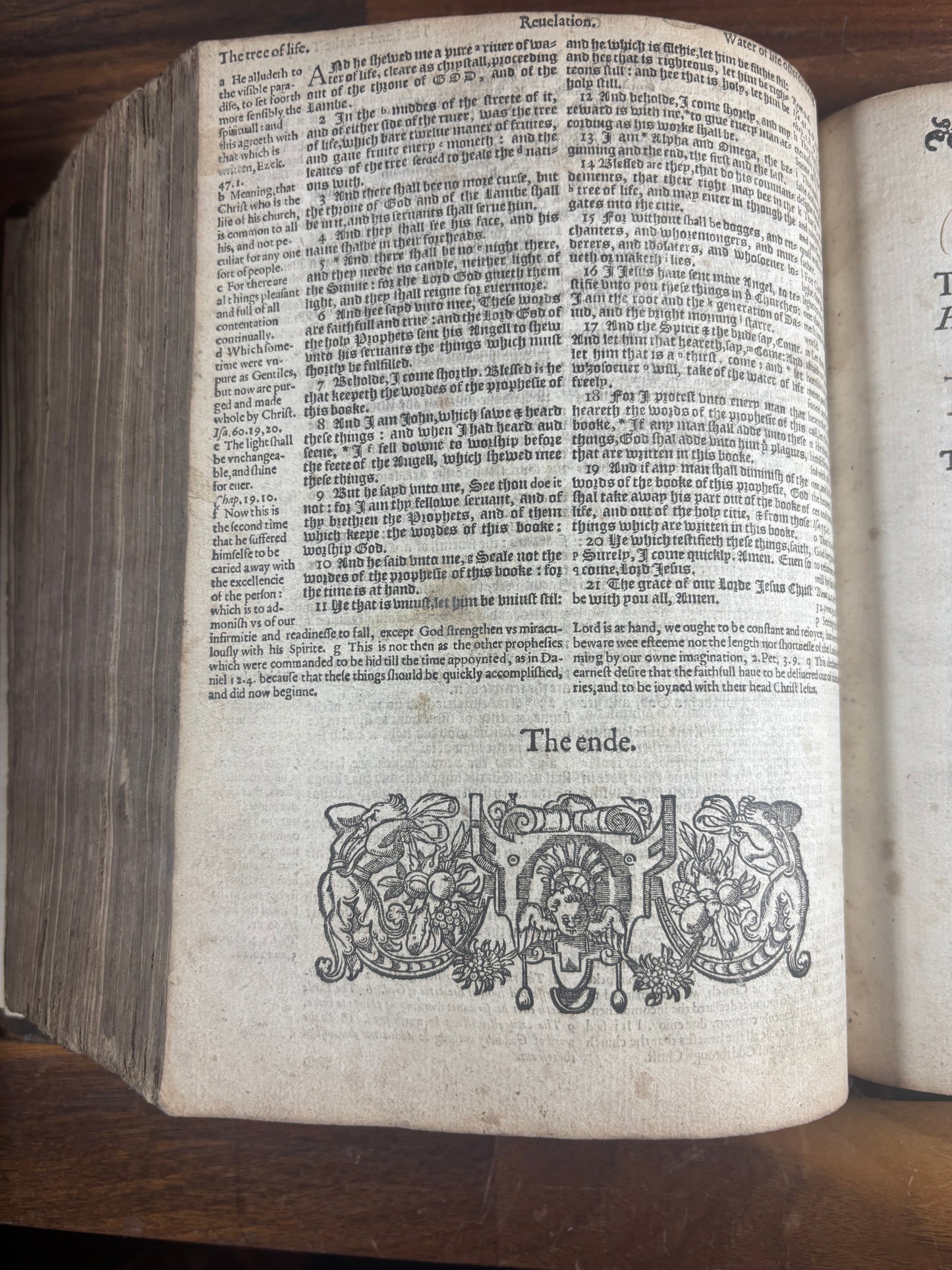 1592 Geneva "Breeches" Bible