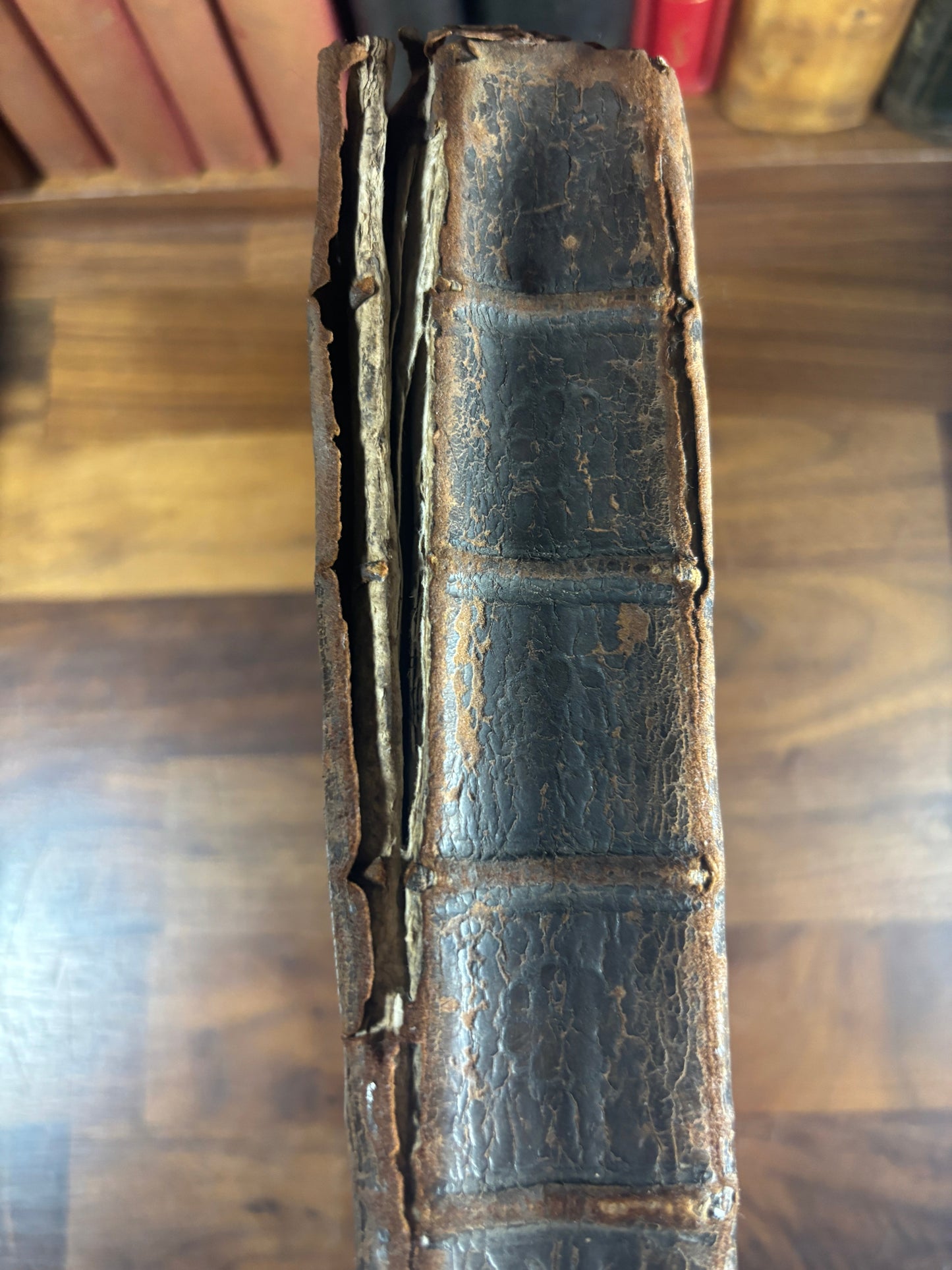 1666 KJV "Murray" Family Bible