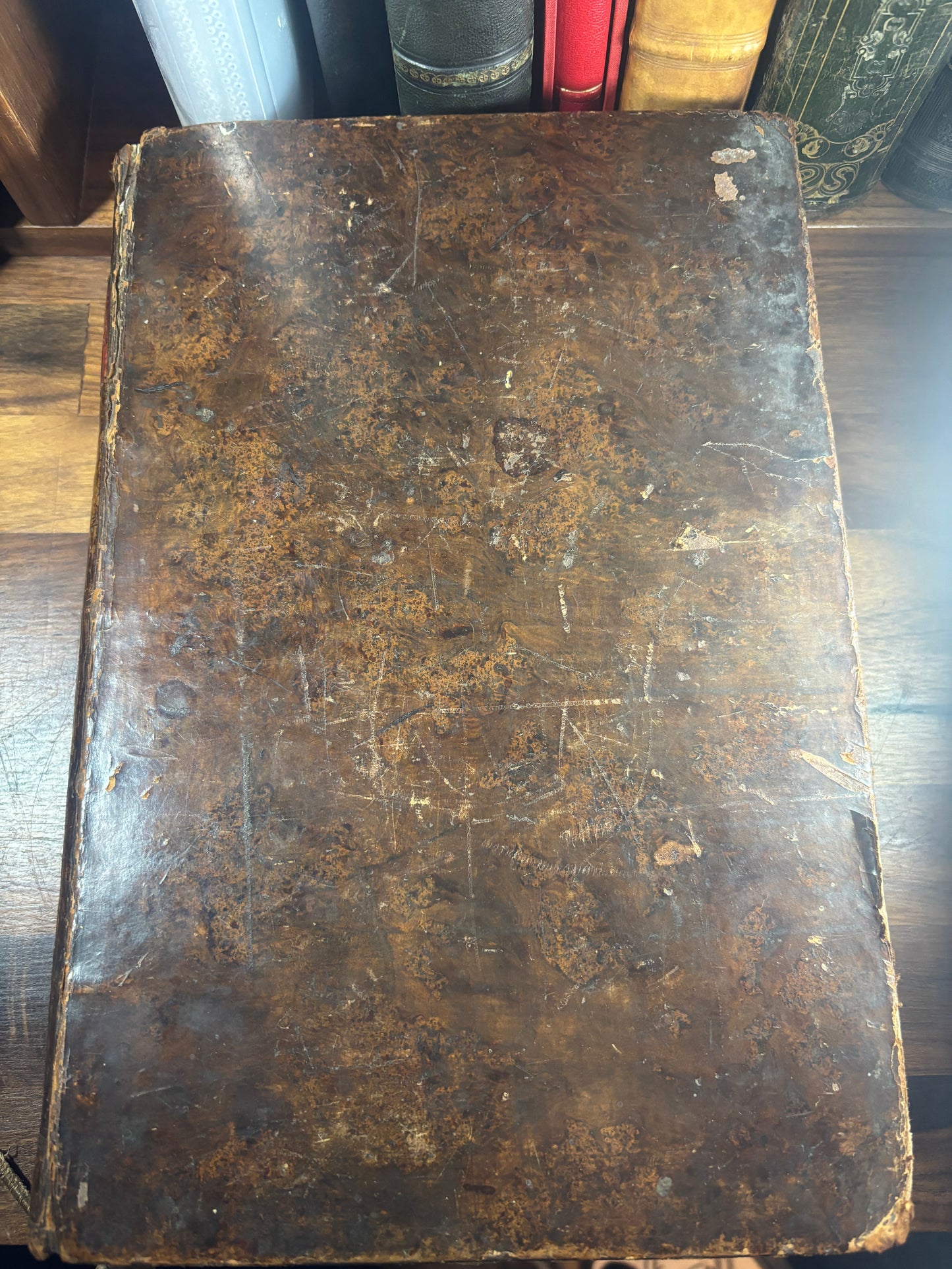 1610 Geneva "Breeches" Folio Bible Printed in Edinburgh 5x Maps and Inscriptions