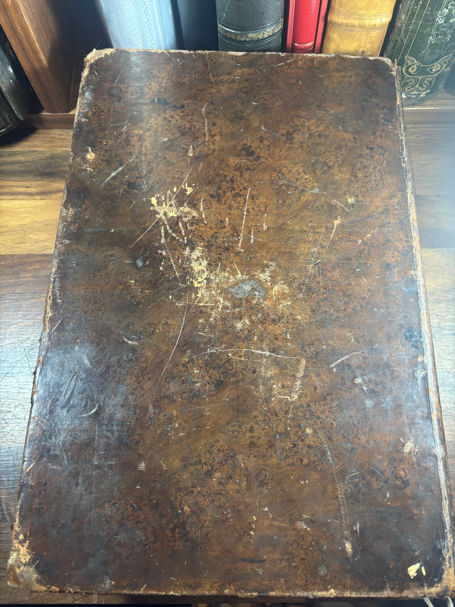 1610 Geneva "Breeches" Folio Bible Printed in Edinburgh 5x Maps and Inscriptions