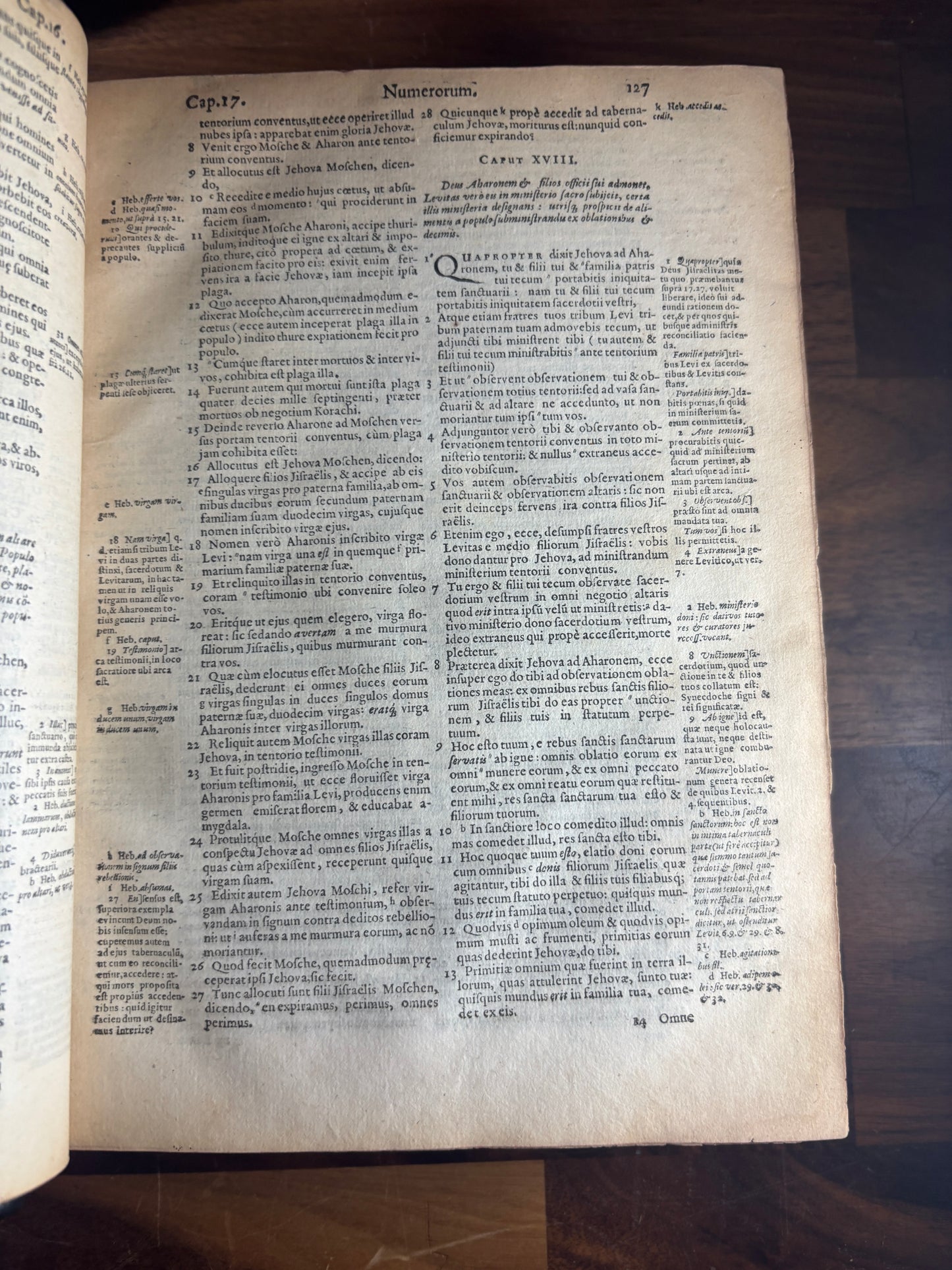 1585 Biblia Sacra – Tremellius, Junius & Beza Latin Bible W/ Inscriptions
