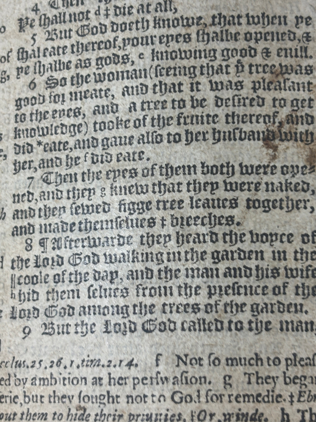 Complete 1589 Geneva “Breeches” Bible with 1585 Sternhold & Hopkins Psalter
