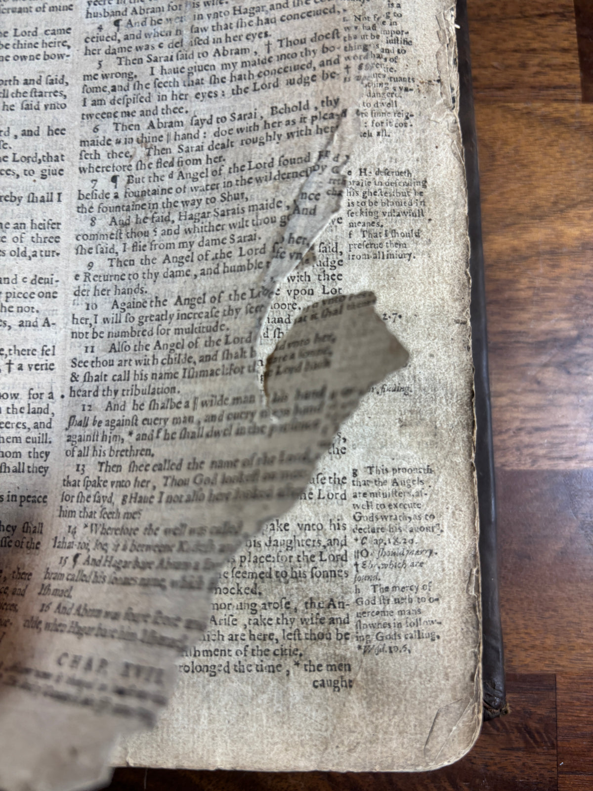 1599 Geneva “Breeches” Bible woodcuts, Tomson & Junius, Maps & Early Provenance
