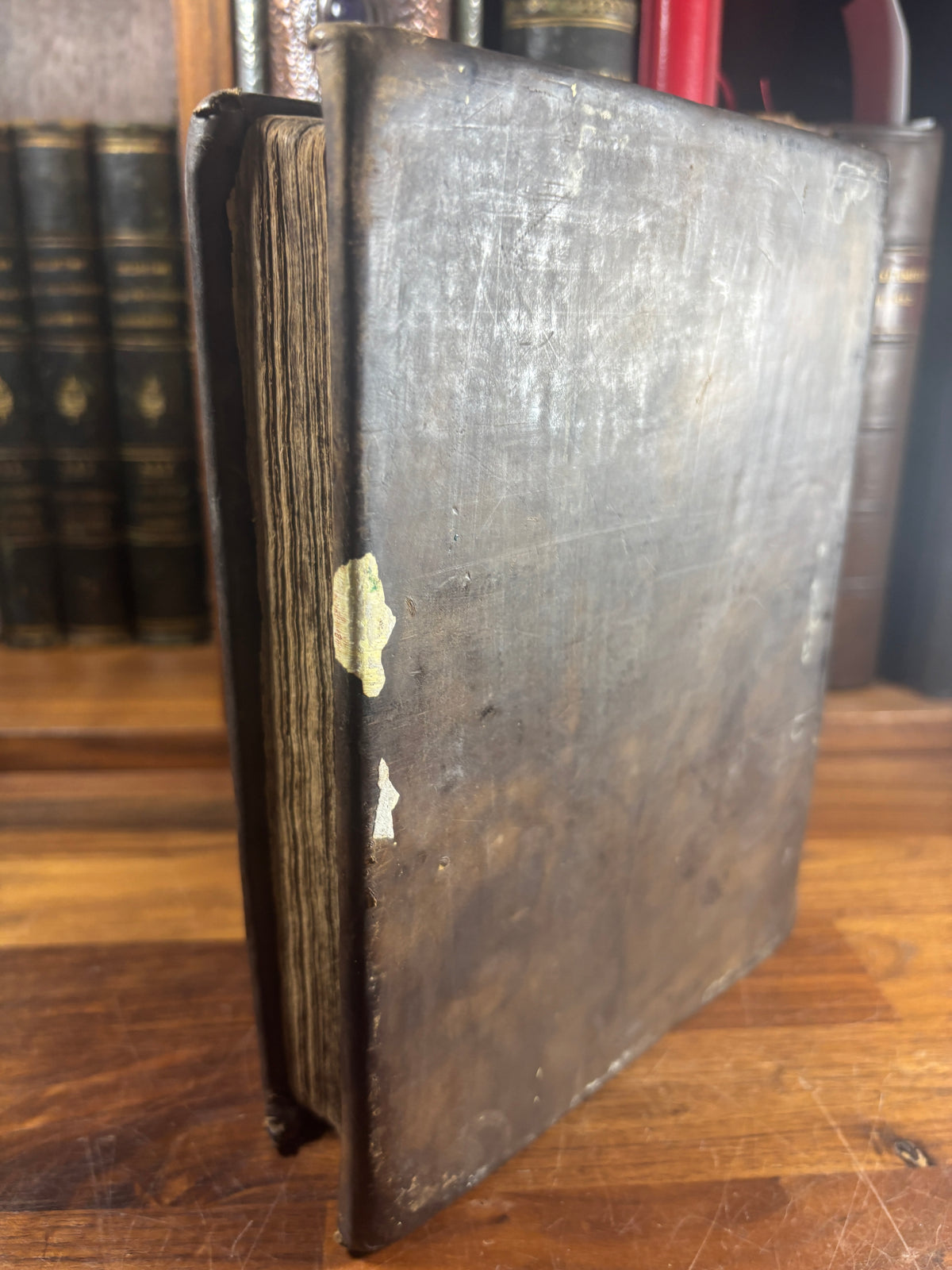 1599 Geneva “Breeches” Bible woodcuts, Tomson & Junius, Maps & Early Provenance